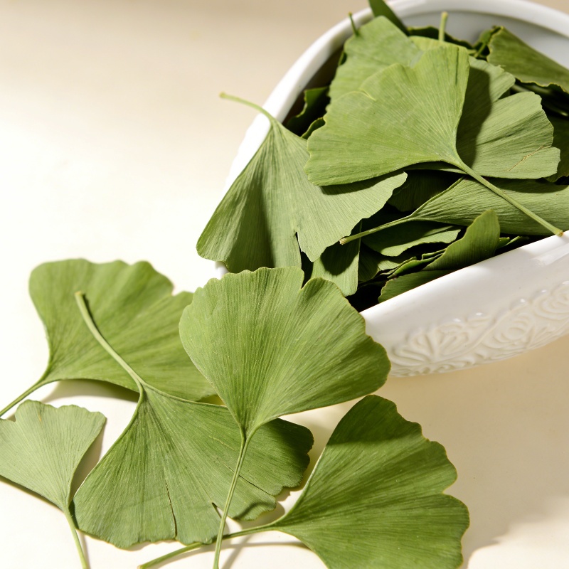 Home Fragrance Sachet - Feuilles de Ginkgo Biloba séchées de