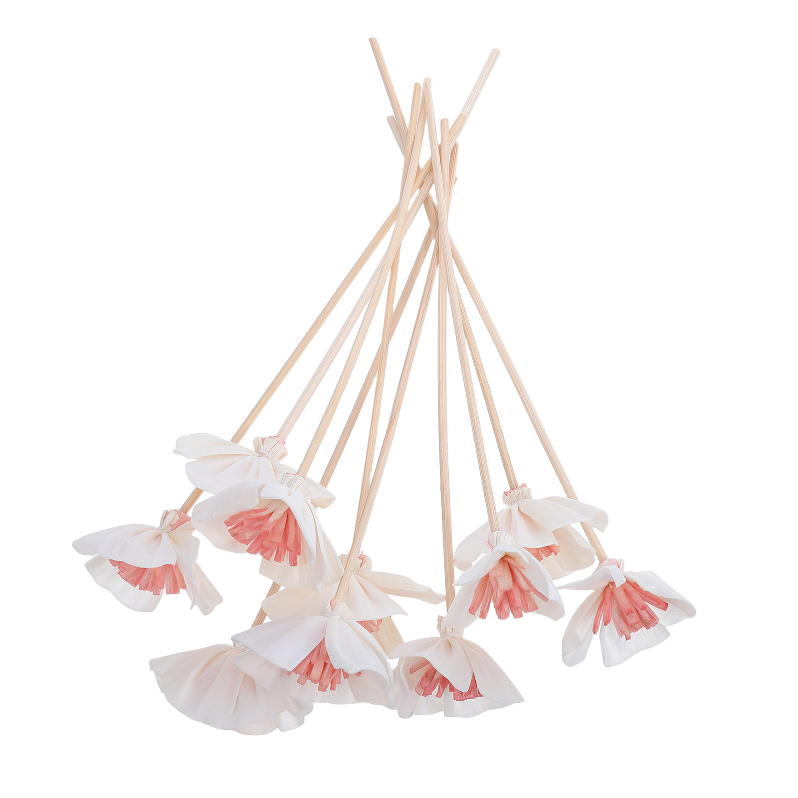 Home Fragrance Oil - 10 bâtonnets diffuseurs d'huiles essentielles noirs
