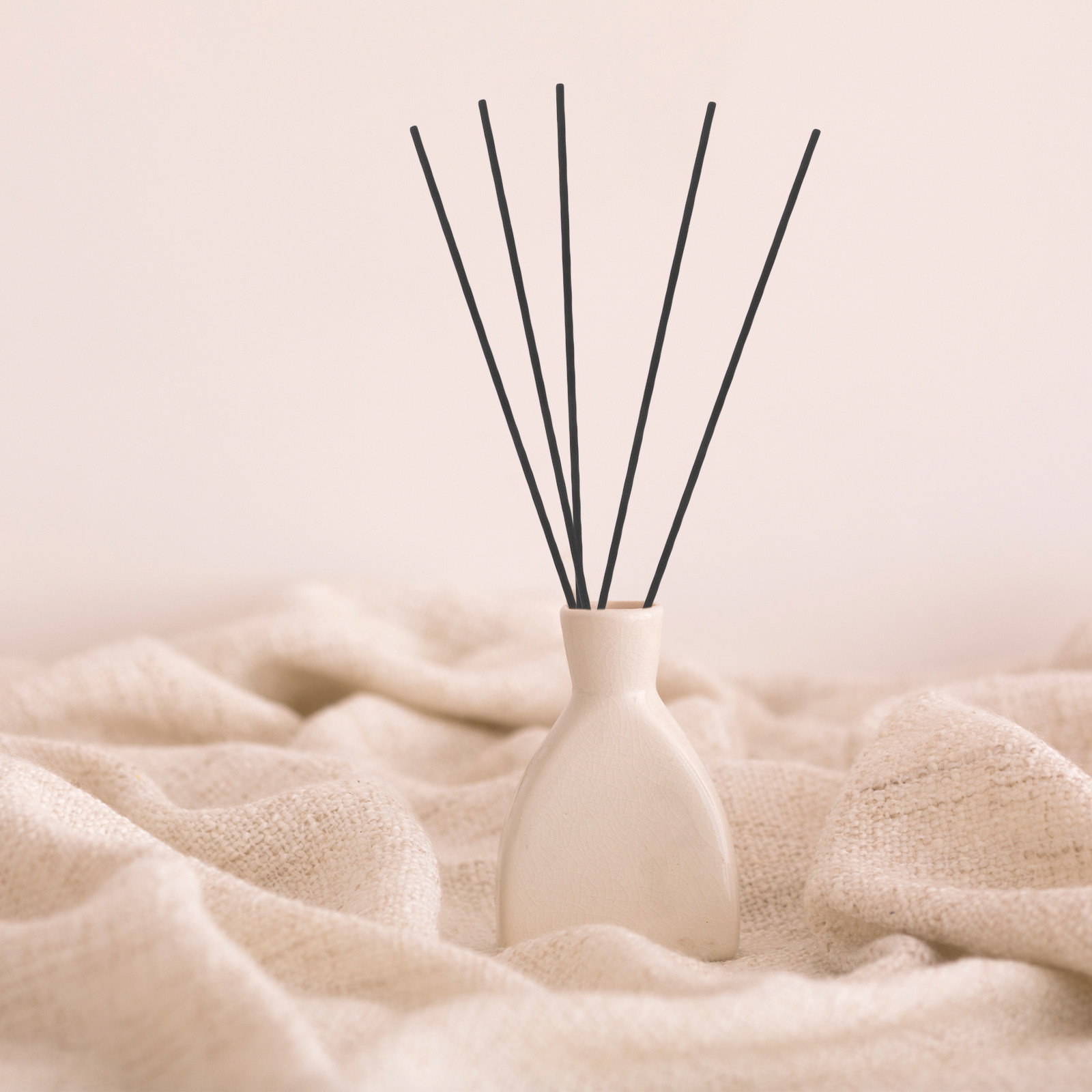 Home Fragrance Oil - 100 bâtonnets diffuseurs en fibre noirs