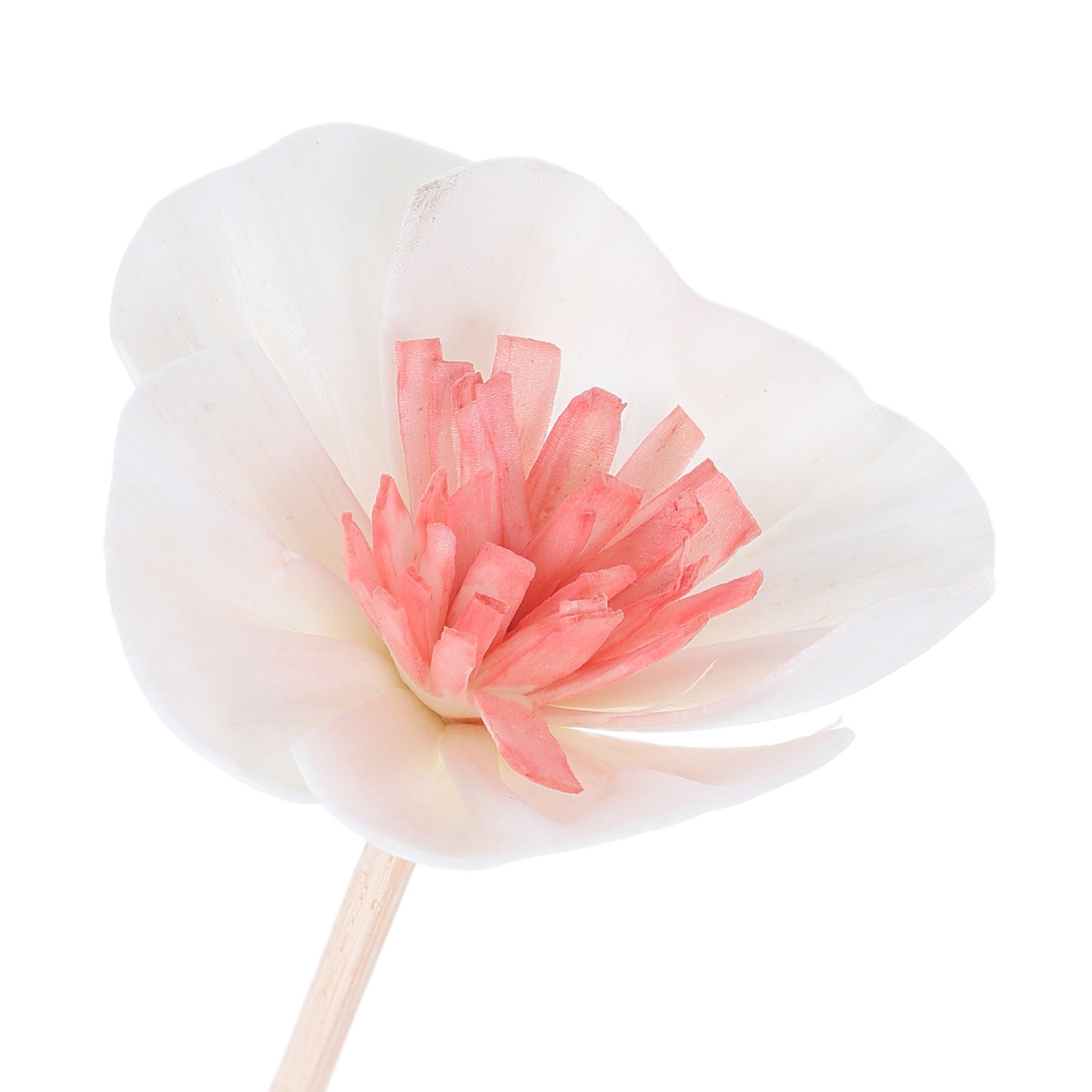 10 bâtonnets diffuseurs d'huil - Home Fragrance Oil avis et prix